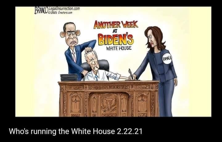 Harris, Nasty Nancy, Obombanation and Bald Spot Shulmer calling the shots not The Sniffer.
SURPRISE? NOT.