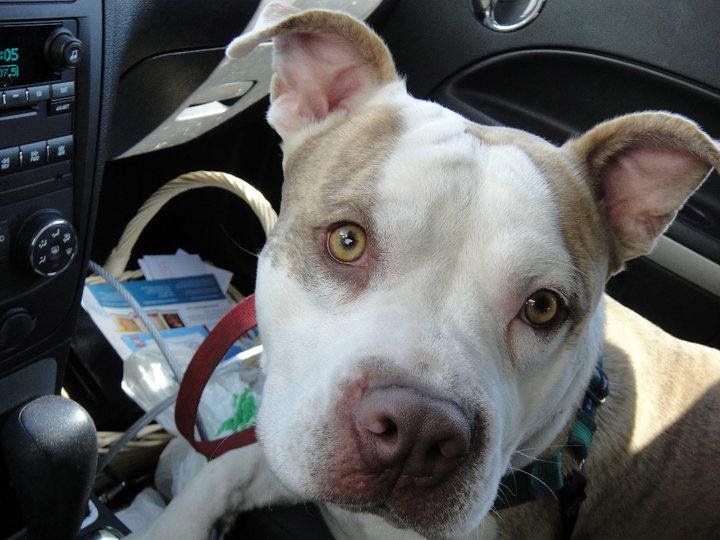 are we there yet?