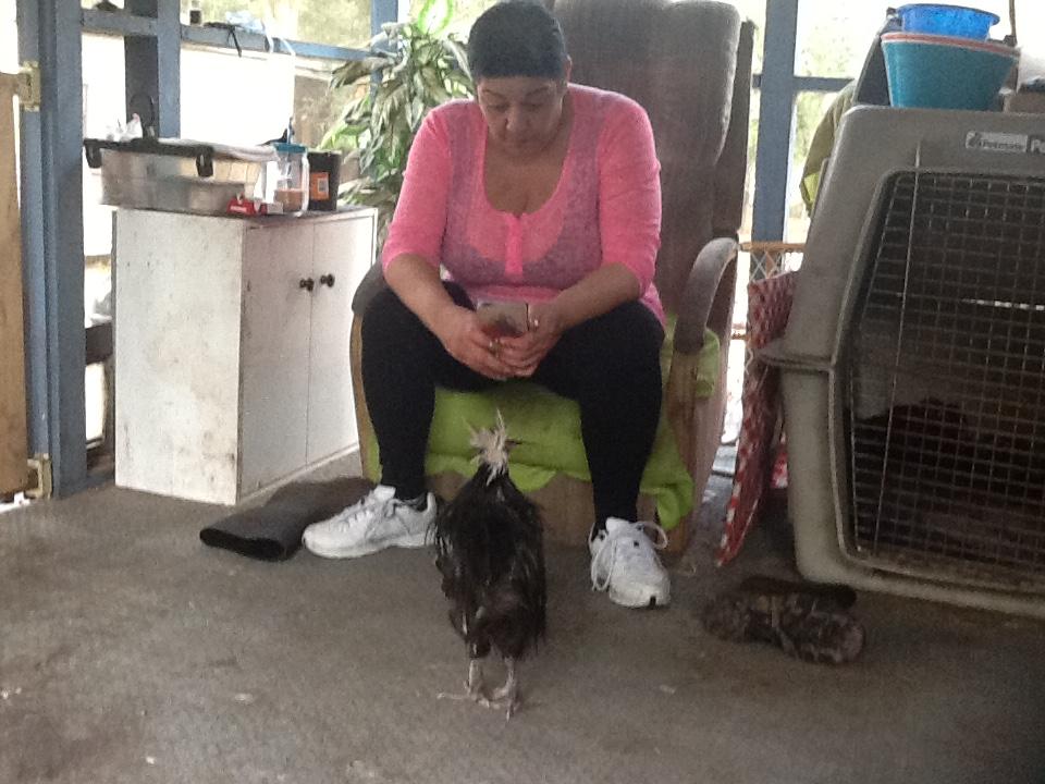Connie Pooley's album, Photos