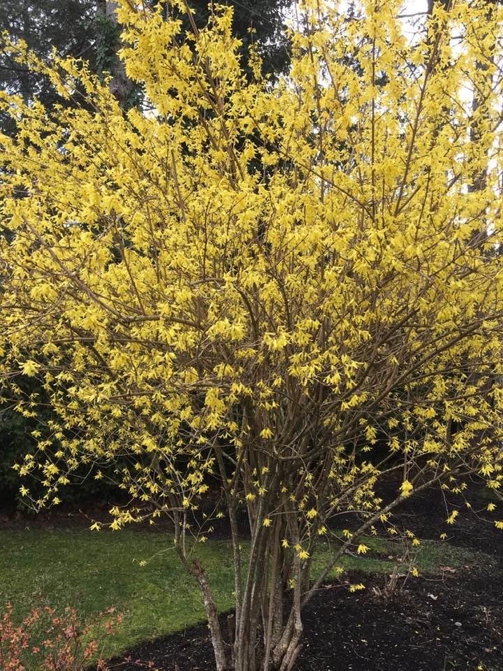 Terry Carr's album, Timeline Photos