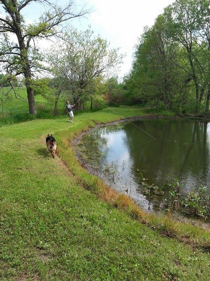 My son fishing in our pond
