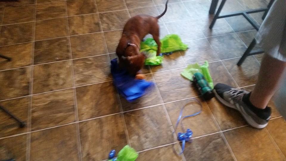 Nancy Sawyer's album, Mobile Uploads