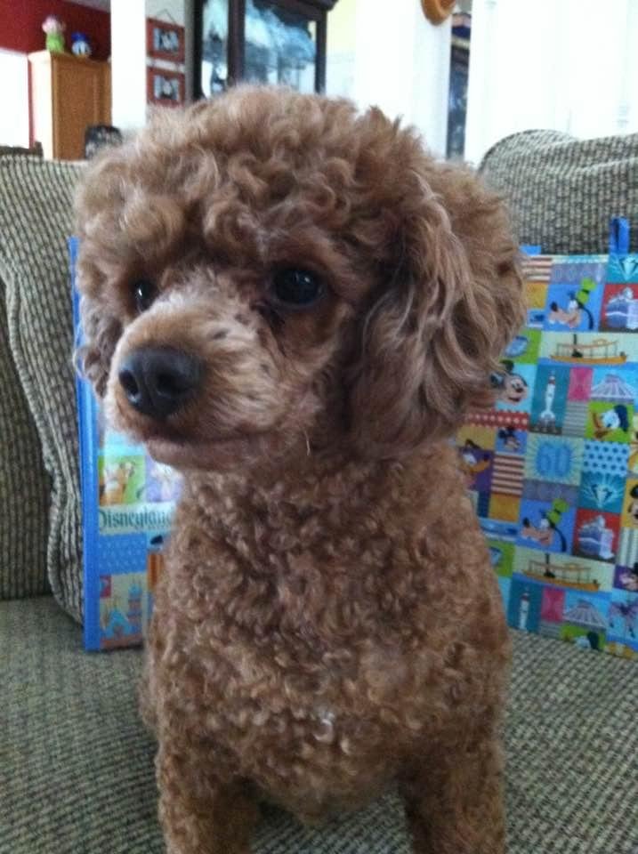 Happy Birthday Cubby!!! Sweetest boy ever!!!!!