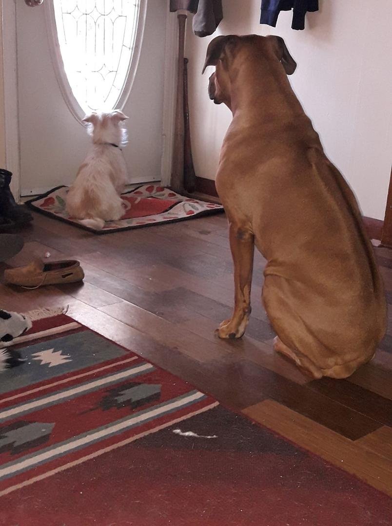 Waiting for Mama to get home