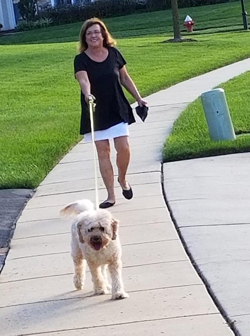 Ollie taking Leslie for a walk.