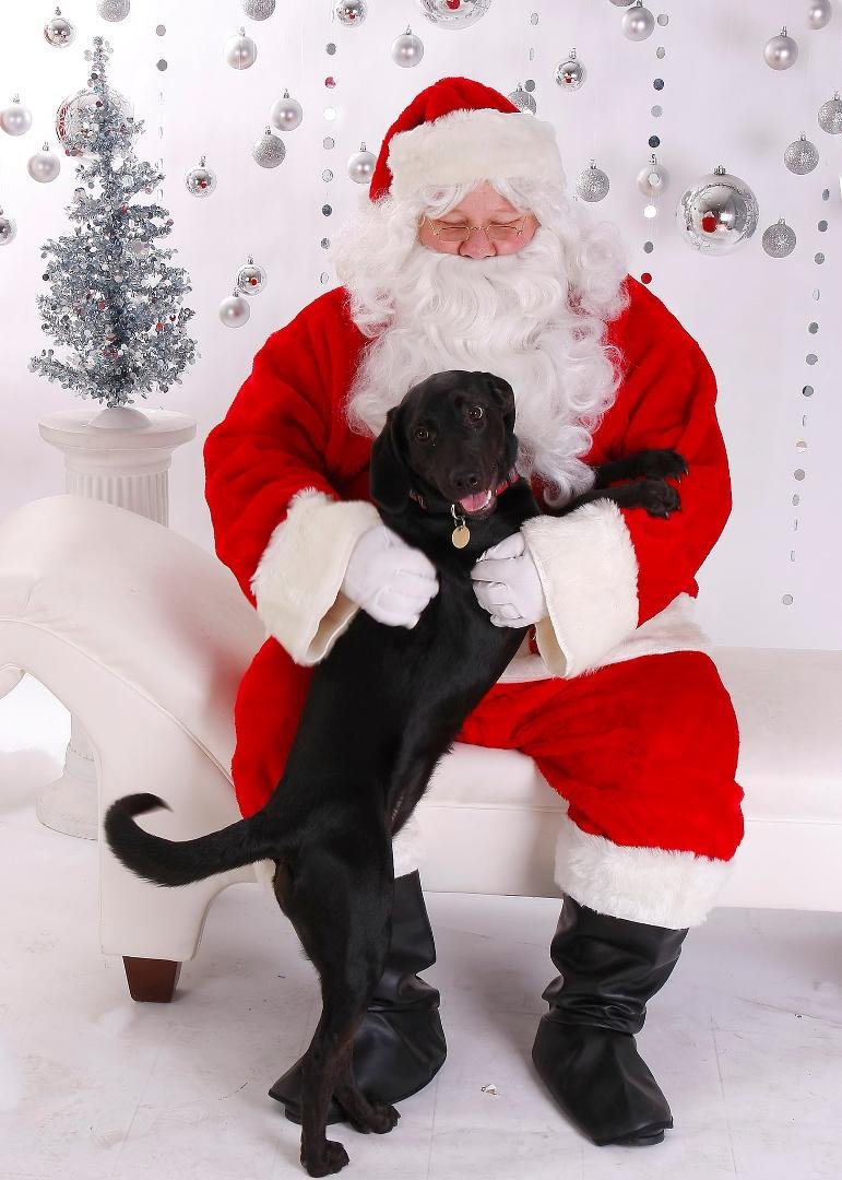 Molly's visit to Santa started out with an excited greeting .....
