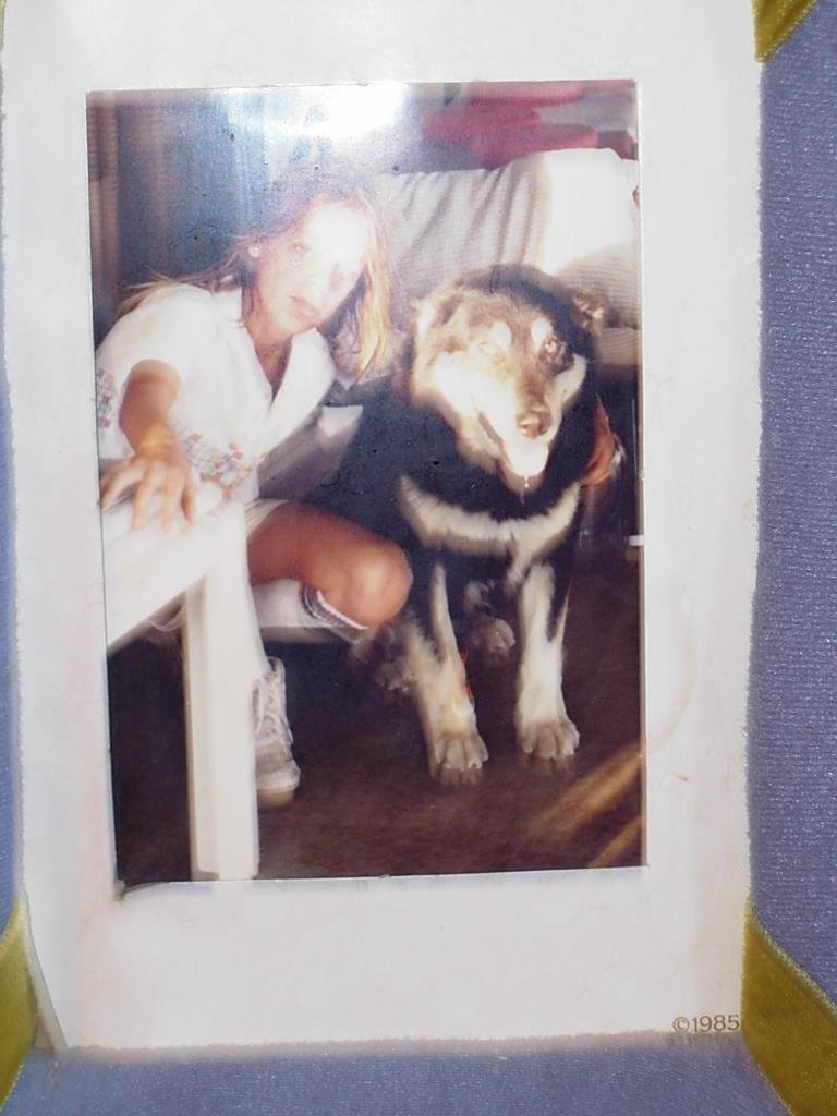 zac & bronco 1986