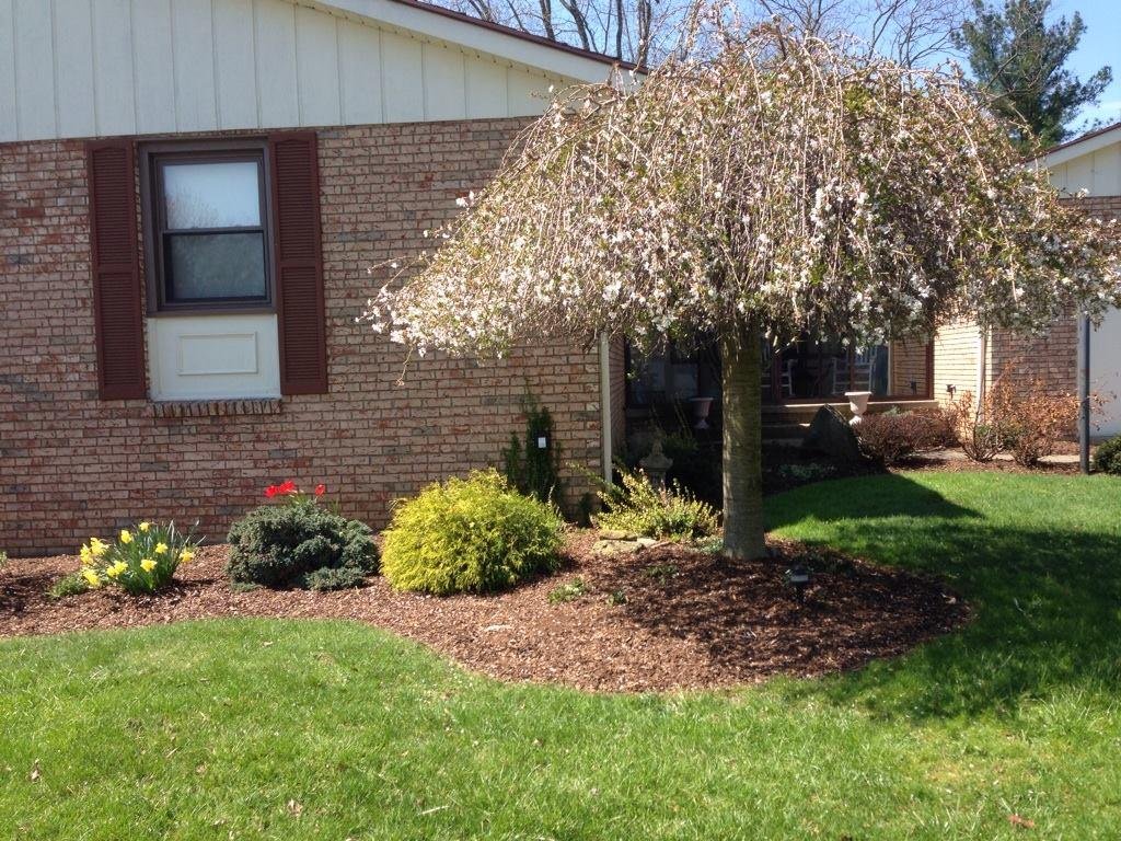 Finished yard work at new house