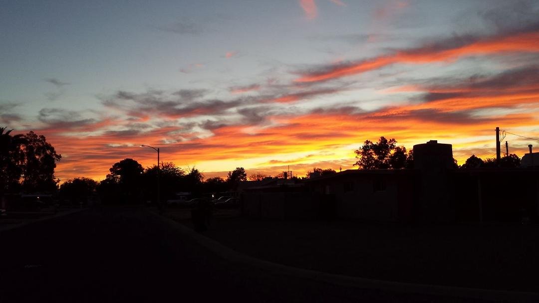 Out for my nightly walk.