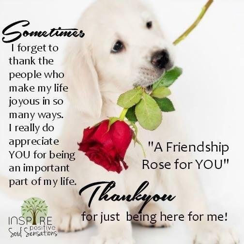 John Calladine's album, Timeline Photos