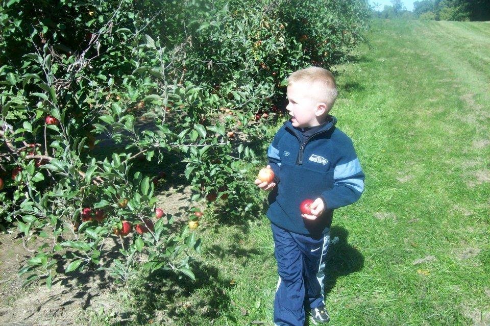 Carl Harrison's album, Apple Picking 2011
