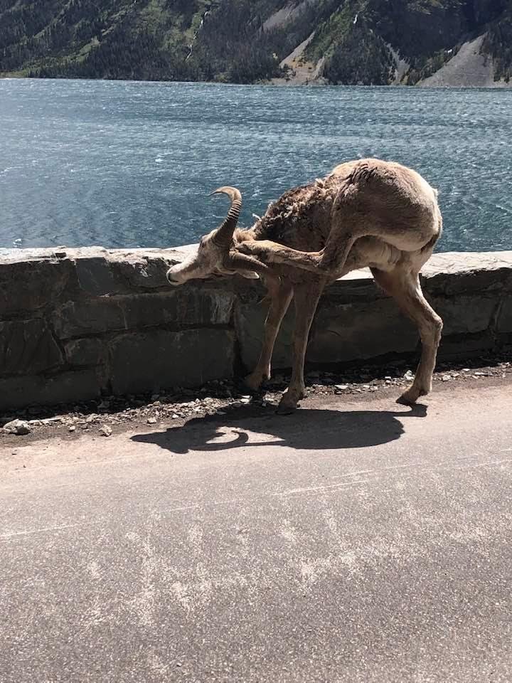 Nice pose