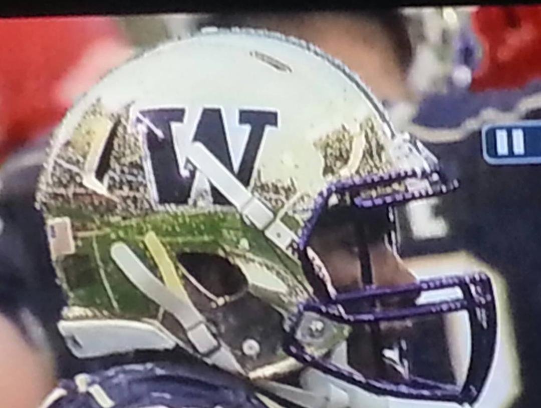 New Dawg helmets rock! Go Huskies!