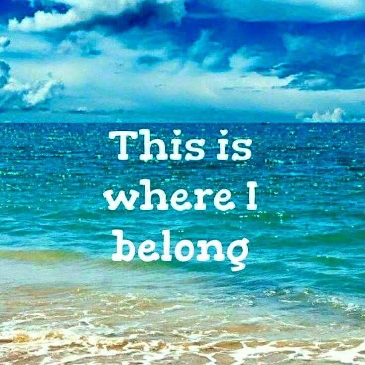 This is where I belong ... searching for my lost jigger of salt ...