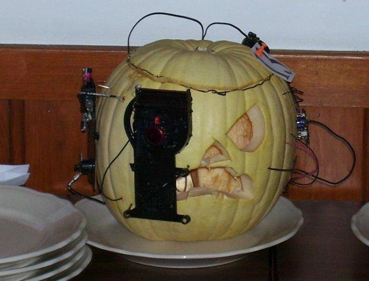 An assimilated Borg o'Lantern pumpkin!  Resistance is futile!!