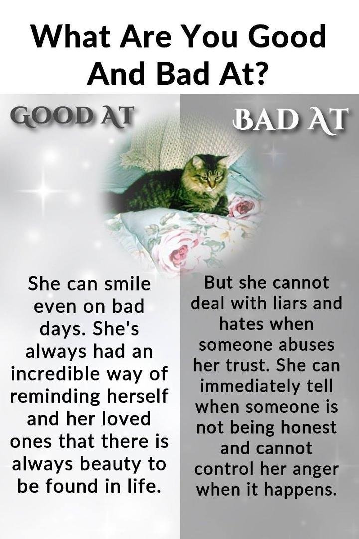 Sandra Niemeier's album, Timeline photos