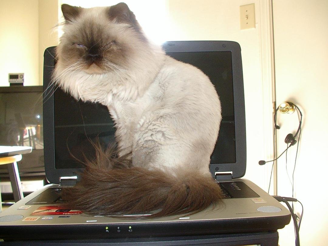 "I thought I made it clear this is MY computer. Are you tryin' to start something here?"