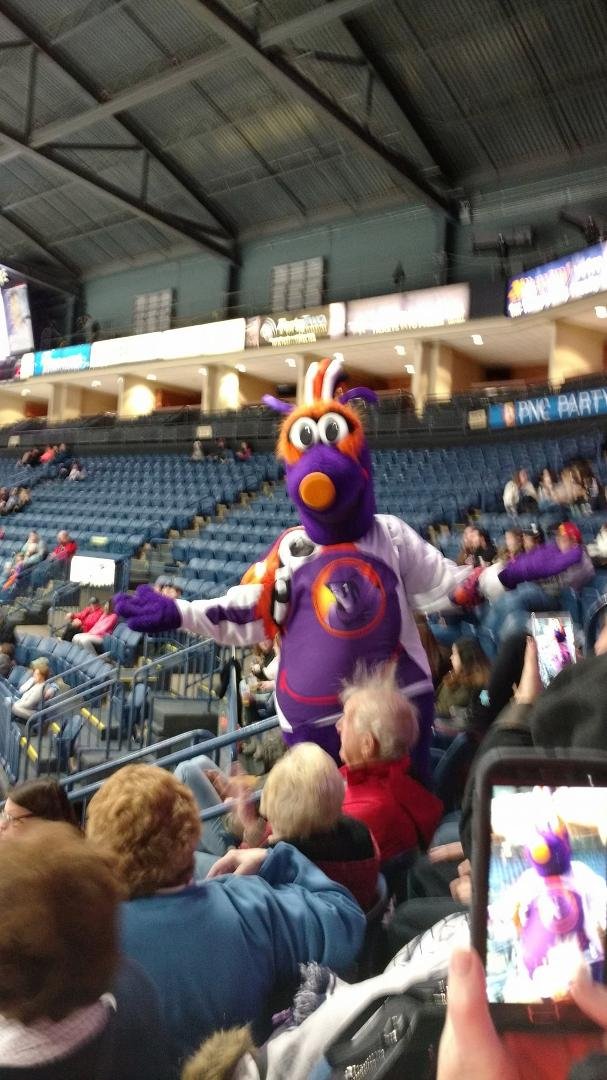 The Phantoms hockey team has a big bird as a cheerleader. Notice how the mascot pull the hair right out of this gentleman's head. So much for static electricity.