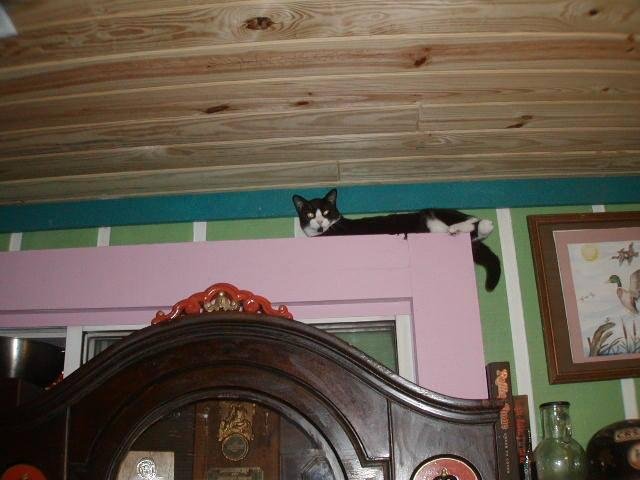 SCHMOULE IN THE ULTIMATE KING OF THE HILL SPOT.