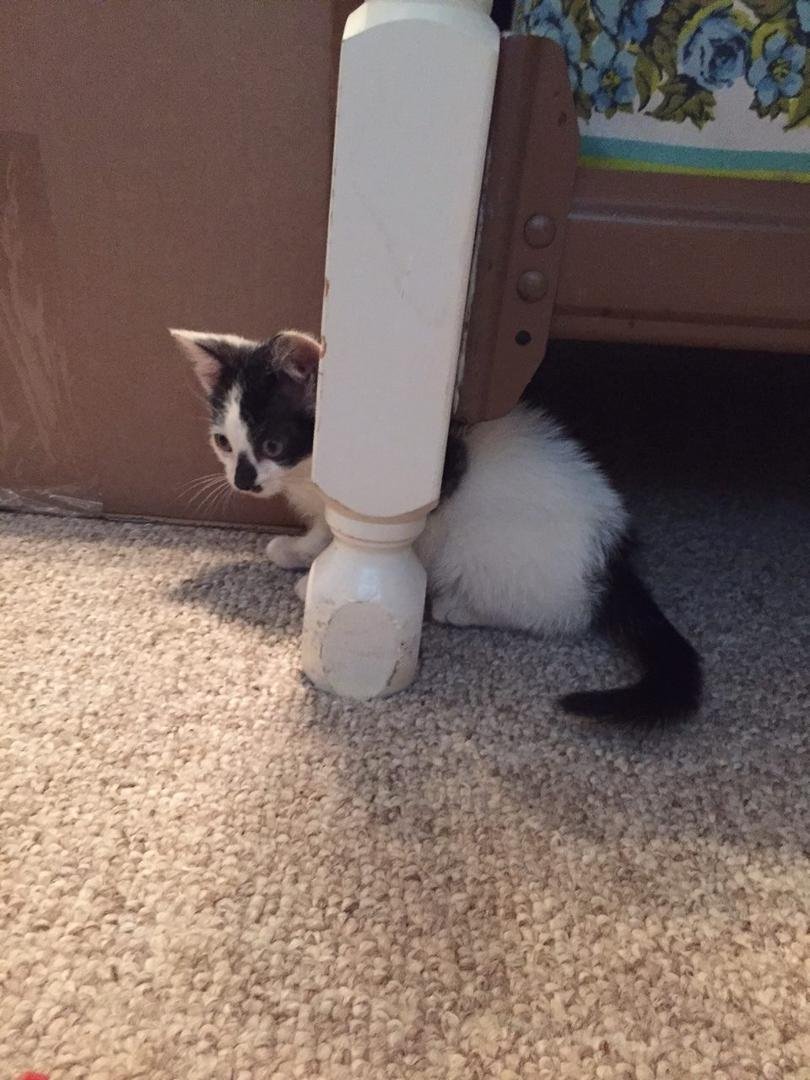 Carol Reuling's album, Timeline Photos