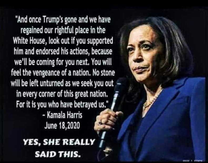 Kinda Lincolnesk, ain't she?
Those who don't know much about this slimeball should research. Slept her way into government work. Nasty work!