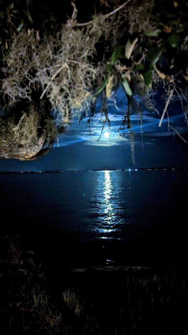 Tj Tryon's album, Timeline photos