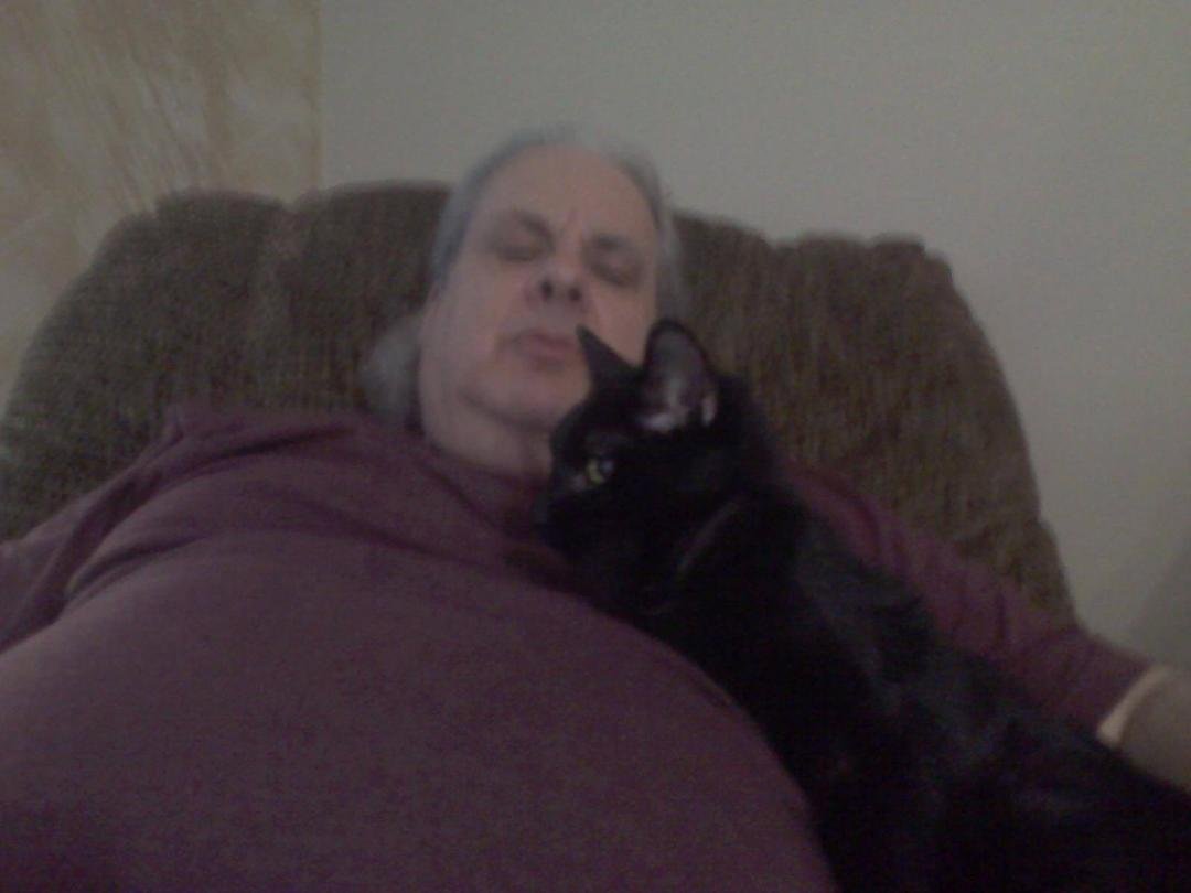 Good Bye Lovey
This is Lovey the most wonderful kitty I could ever have.
Nate found her on the basement stairs unable to get up. She had a hyper thyroid. There was nothing more we could do for her. She followed Nate home fr