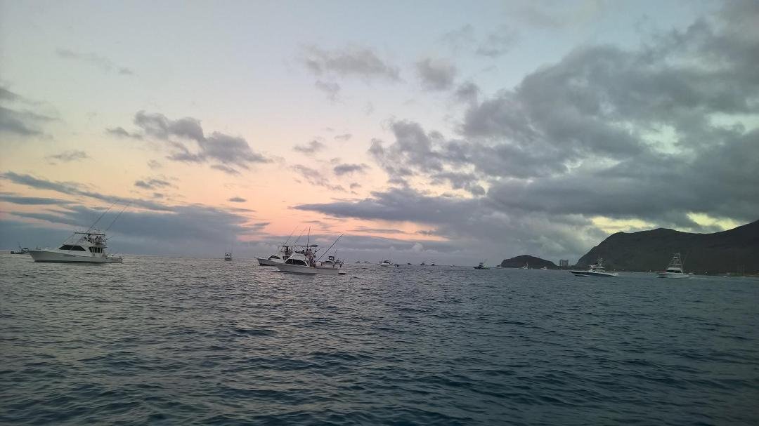 First annual ahi shoot out