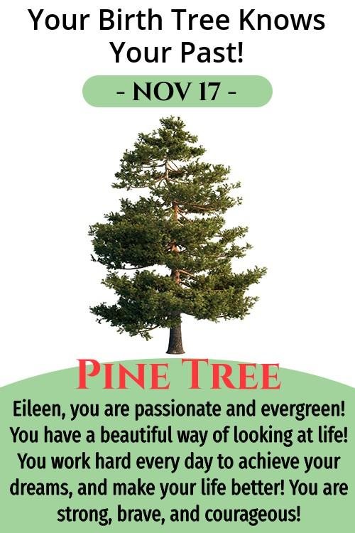 Eileen Tant's album, Timeline Photos