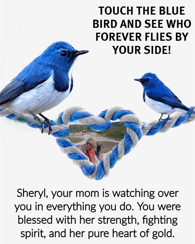 Sheryl Hess' album, Timeline photos