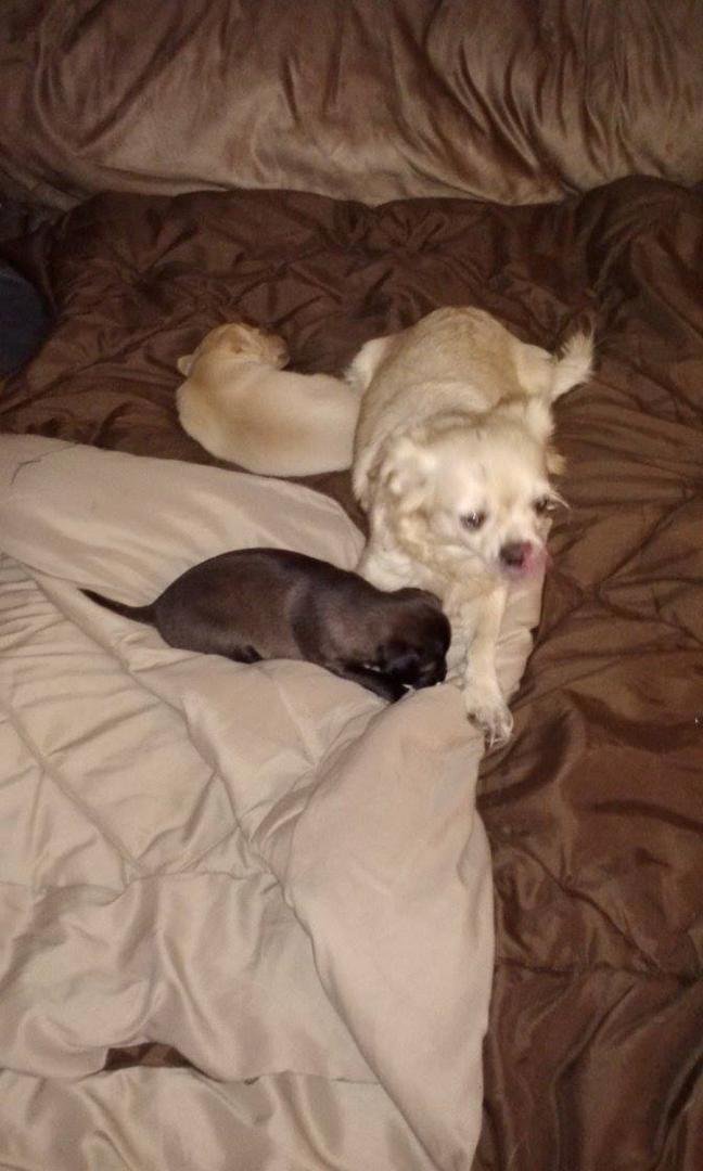 maddie and her mommy