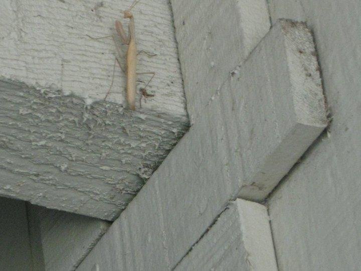 He thought he was hiding.
