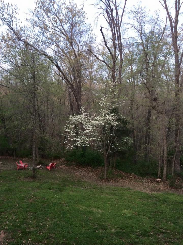 Patty Dean's album, Mobile Uploads