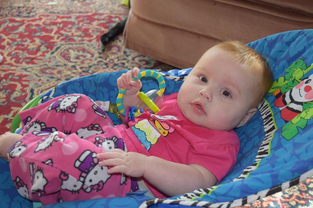 Nancy Hoekstra's album, Timeline Photos