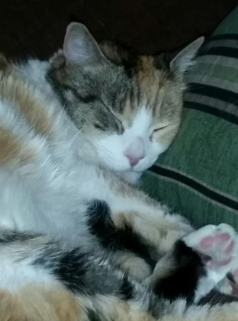 My baby.