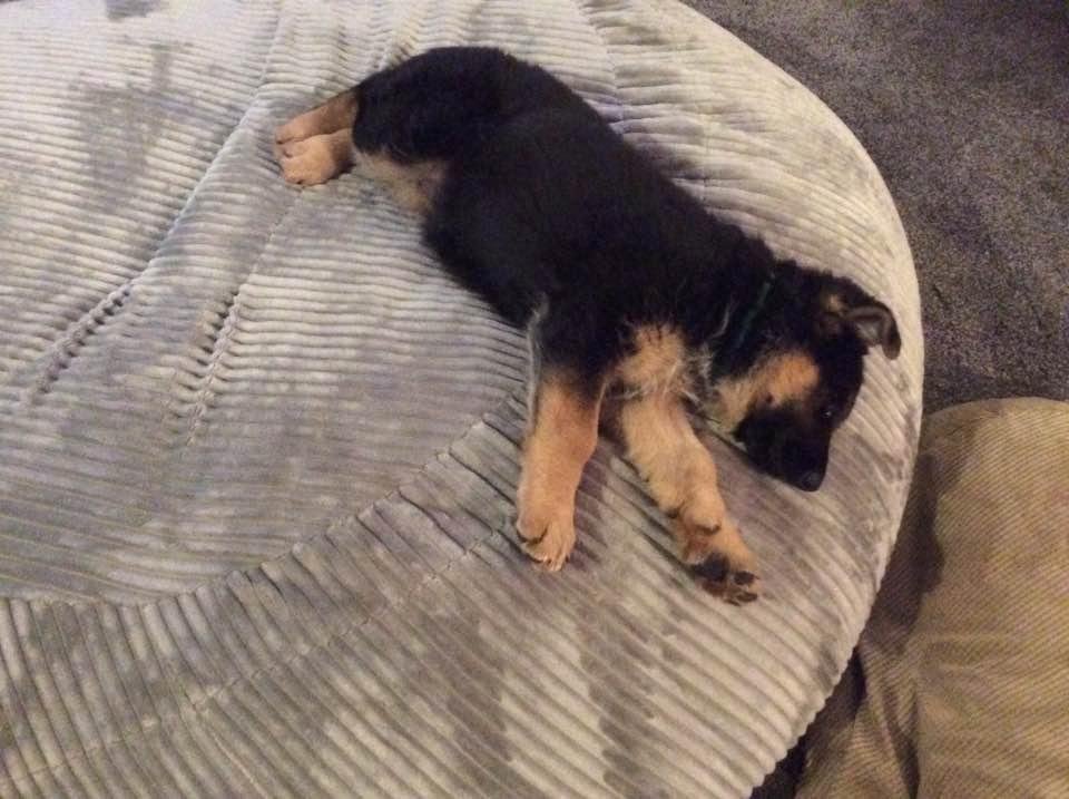Carol Walk's album, Timeline Photos