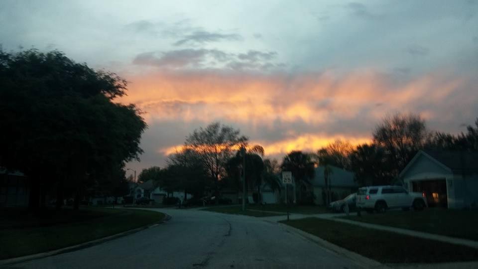 David Baugh's album, Mobile Uploads