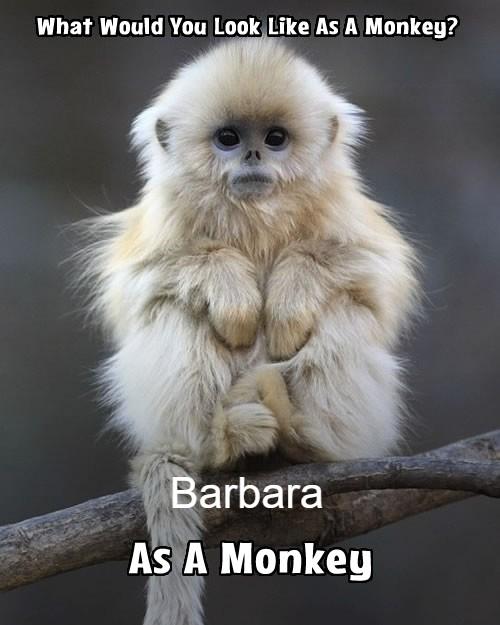 Barbara Morton's album, Photos