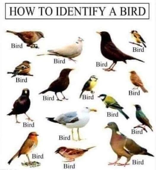 Just in case you wanted to know......