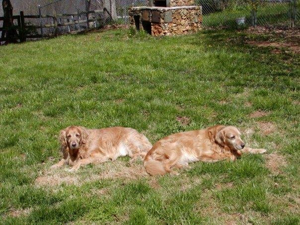Thor and Loki
