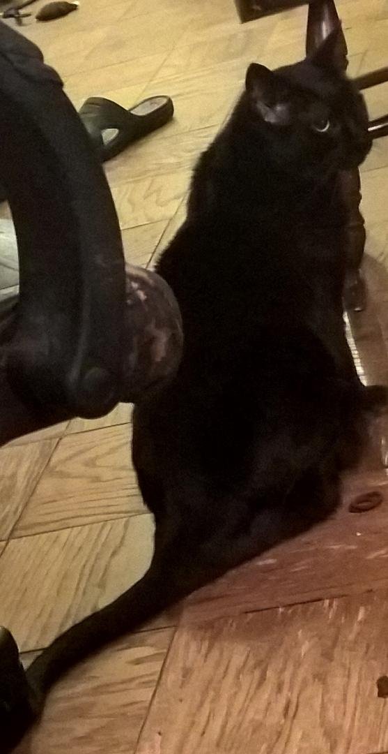Hi
