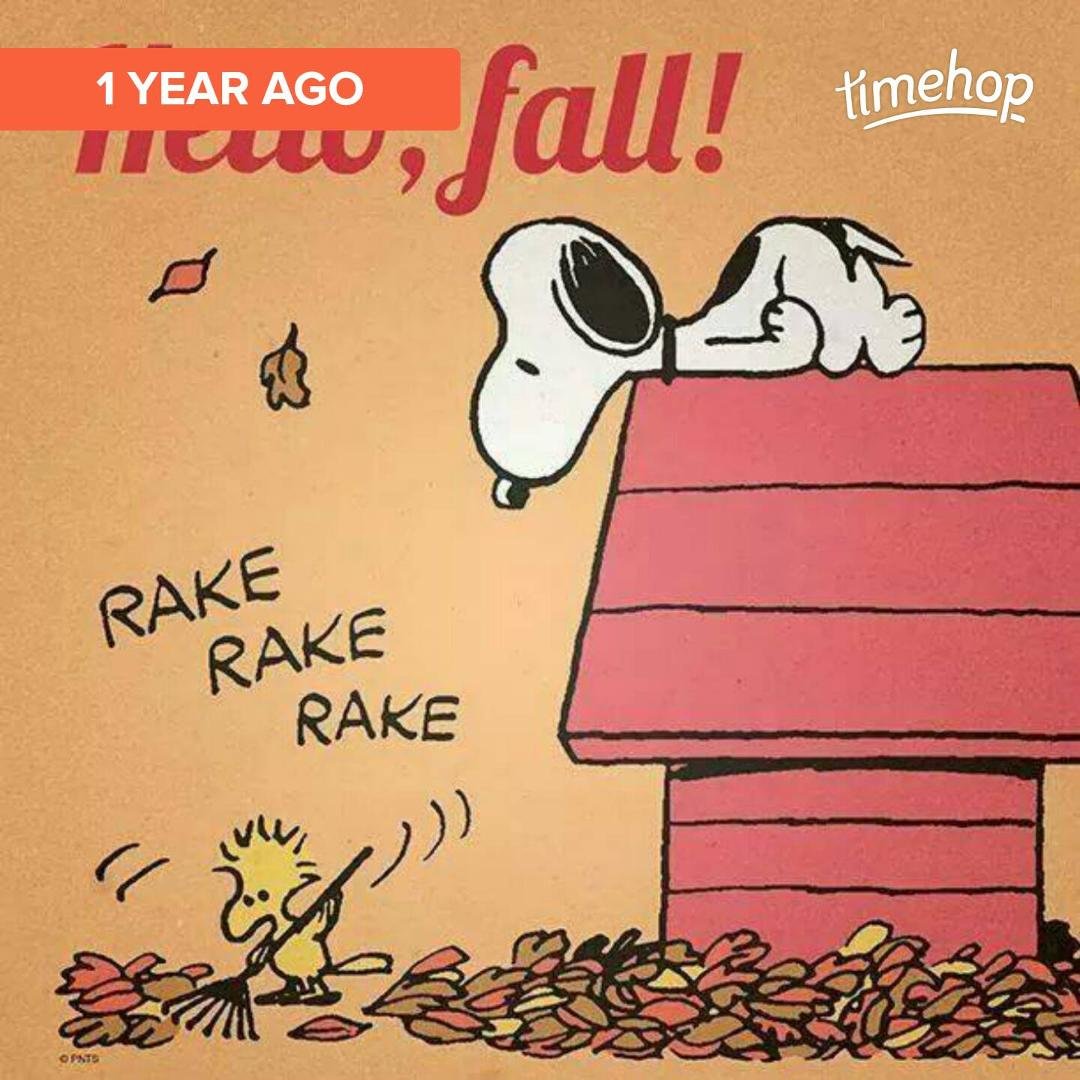 My favorite time of year :)