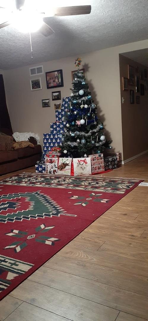 Merry Christmas to all