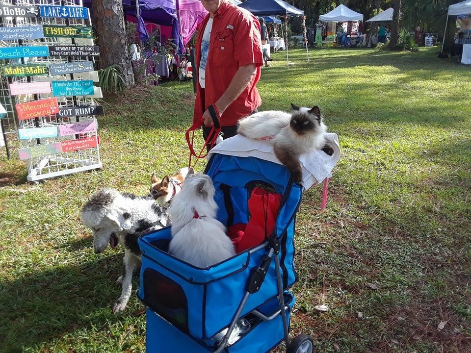 Cat stroller