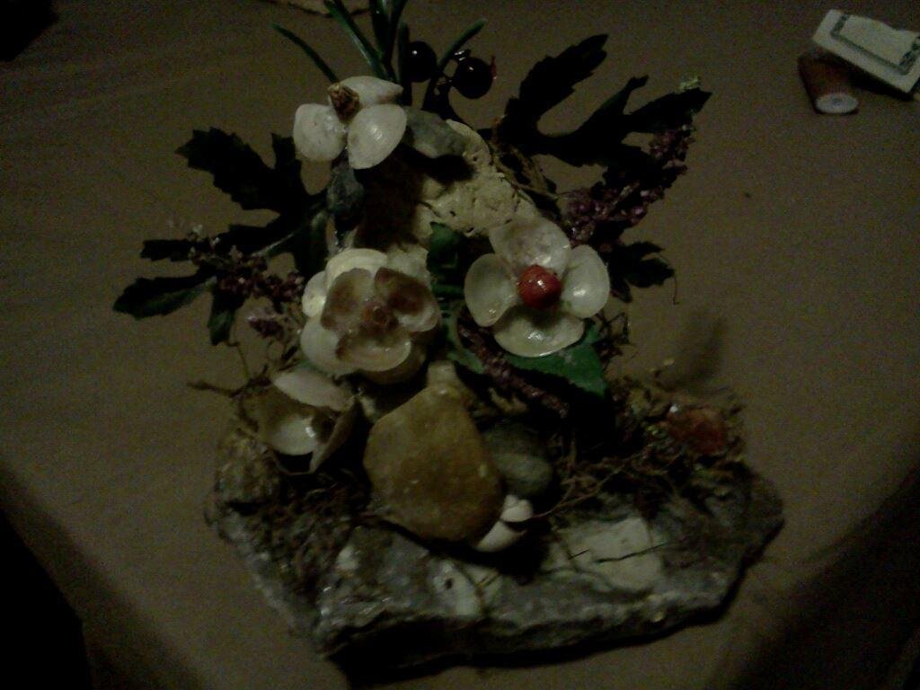 Susan Millstead's album, Mobile Uploads