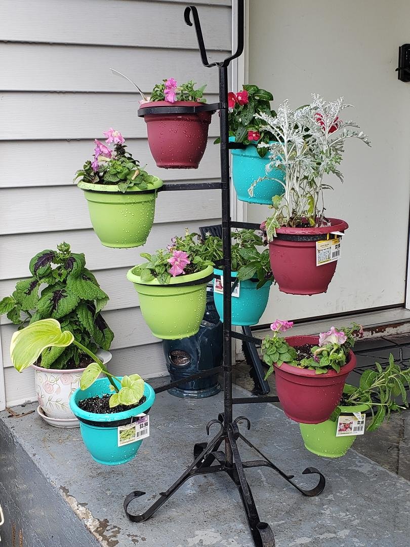 Trying out my green thumb