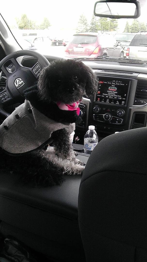 My boo bear