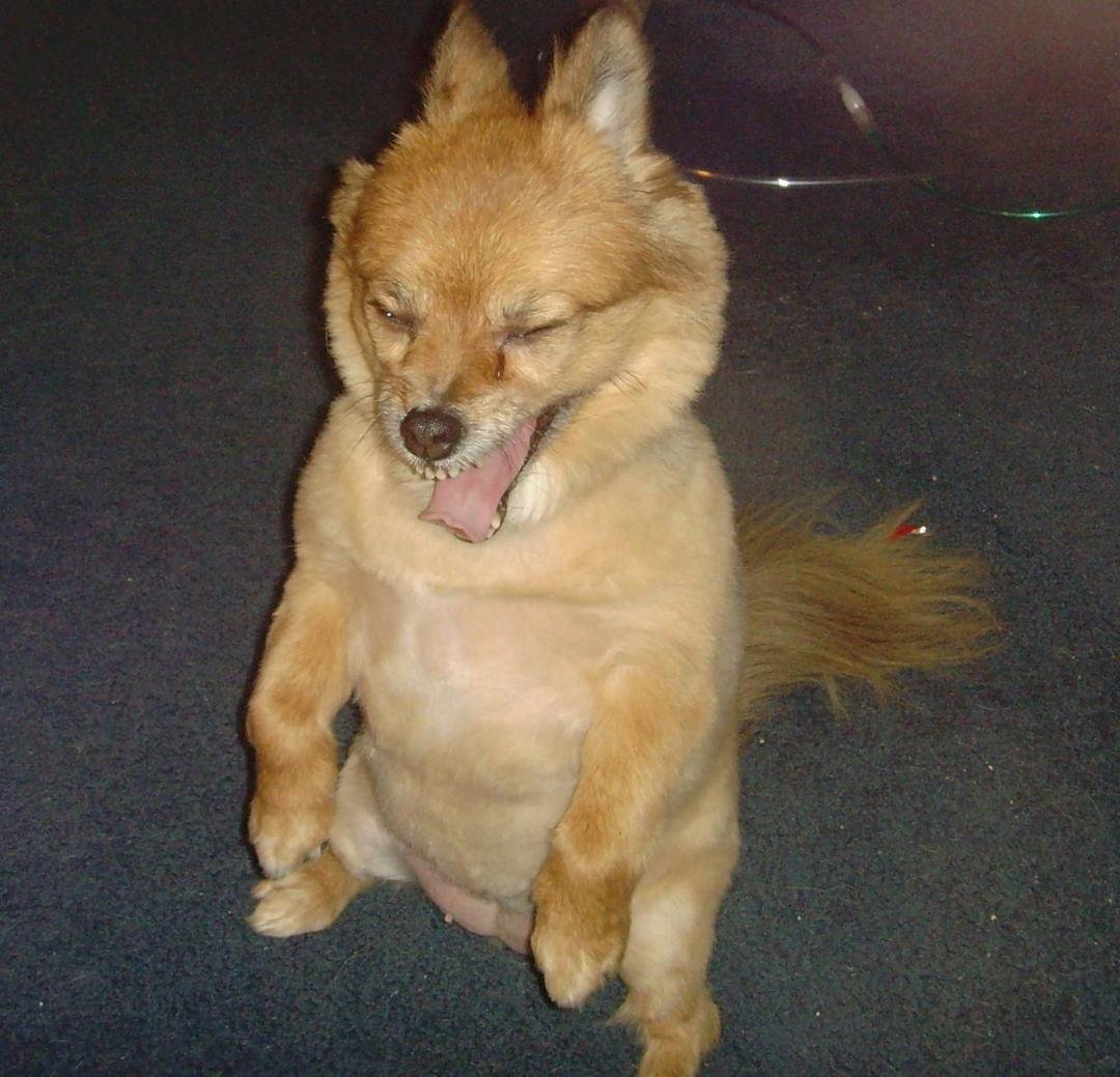 YAWNNN, time for bed!