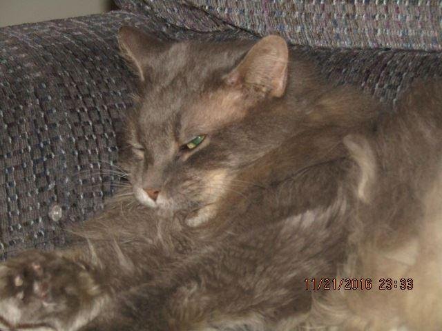 Barbara Steele's album, Timeline Photos