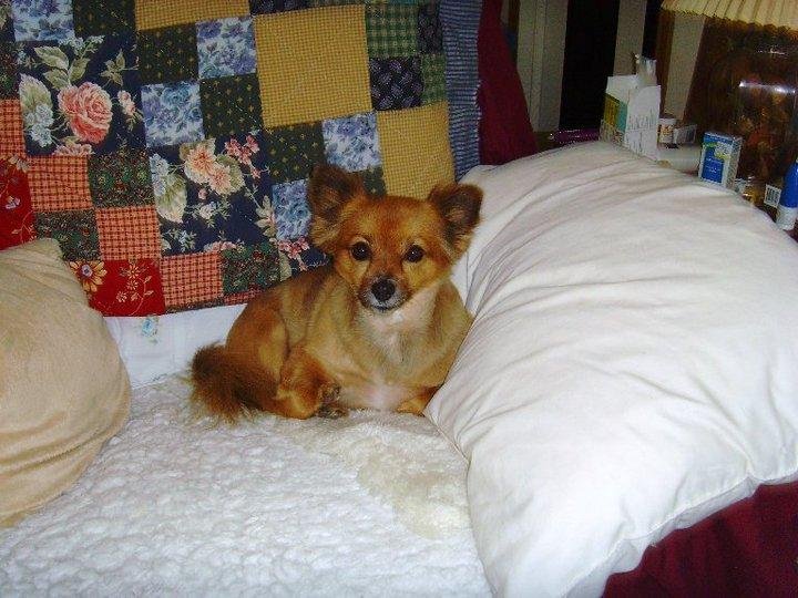 Kathy Warner's album, Sissy